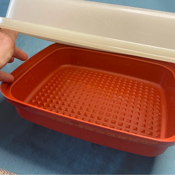 Tupperware Kitchen Vintage Tupperware Season Serve Marinade Dish